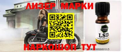 шишки Будённовск