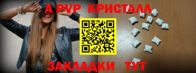 шишки Будённовск