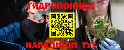 шишки Будённовск
