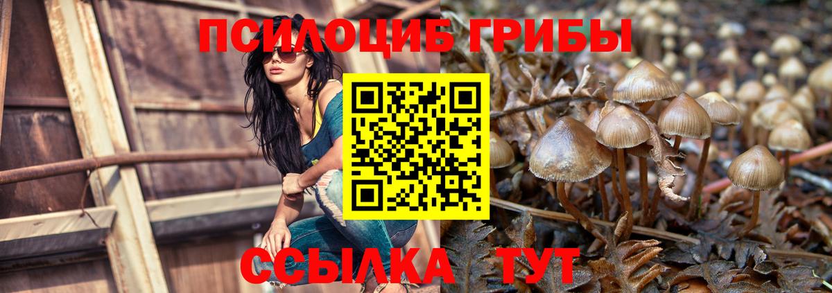 Псилоцибиновые грибы MAGIC MUSHROOMS  купить закладку  Усинск  Вход с VPN 